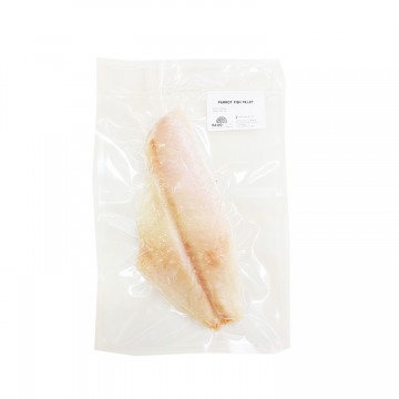 Parrot Fish Fillet Skinless