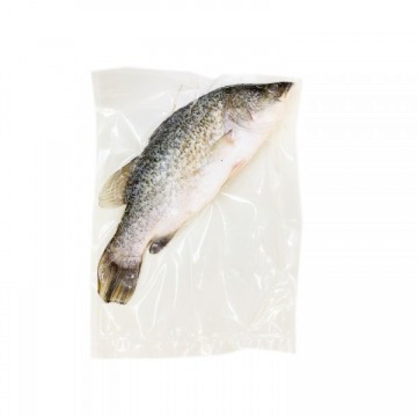 FISH