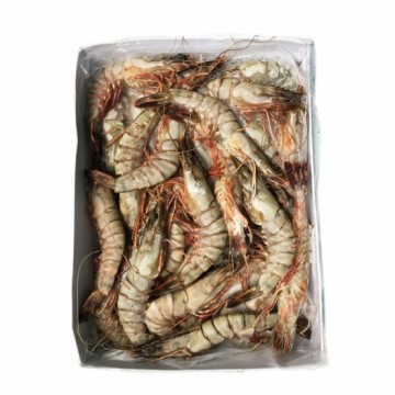 Tiger Prawn HOSO 31/35